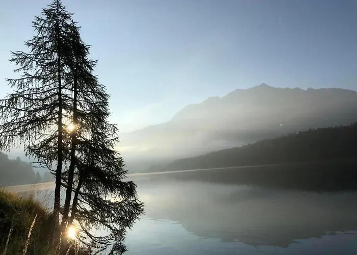 Chesa Andrea- Eg By Interhome * Pontresina