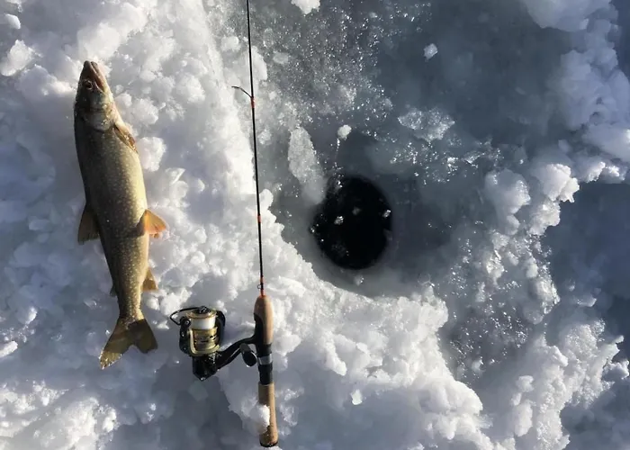 Chesa Andrea- Eg By Interhome *