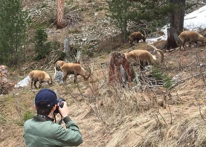 Apartmán Chesa Andrea- Eg By Interhome Pontresina